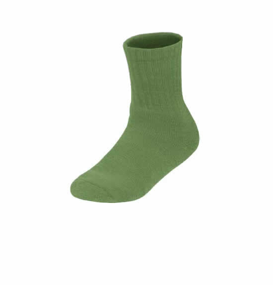 Turtle Green